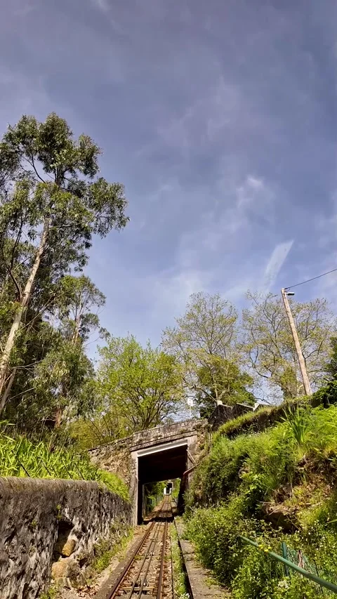 Funicular track ascending through a green forest in Viana do Castelo, Portugal Stockbeeldmateriaal 332368911
