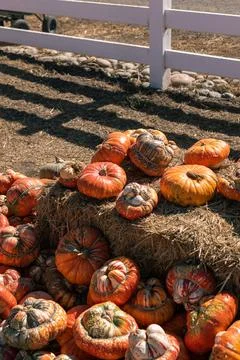 Funkin Pumpkin Fotos de archivo