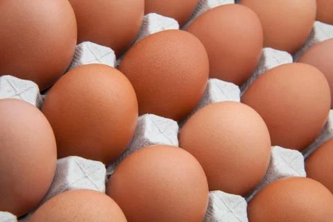Funk's eggs Stock Photos