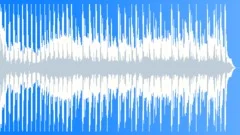 Funky Attraction_30Stock Music