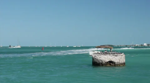 Funky boat in harbor Stock Footage 35347458