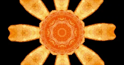 Funky organic shapes background in a florescent kaleidoscope abstract background Stock Footage 75658935