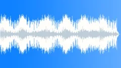 Funky Roll (no intro)Stock Music