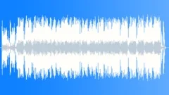 Funky Skunk (Accordion /washboard band - swampy zydeco)Stock Music