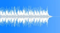 Funky Synth House 30 SecStock Music