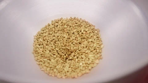 Funnel guides raw coffee beans in de-stoning unit to remove foreign objects to Stock Footage 294734386