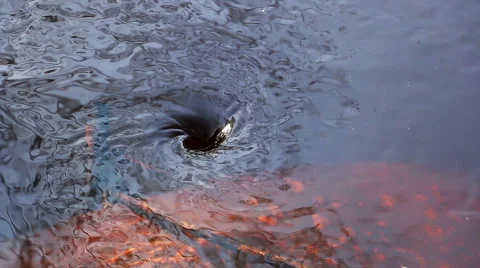 Funnel in the water Stock Footage 54058747