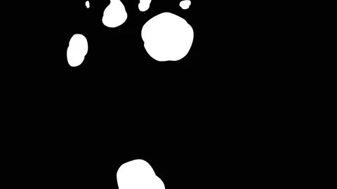 Funny Abstract Shapes is a cool Motion Graphics Pack. Just drop it into your Stock Footage 185543798