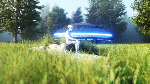 Funny alien sitting in forest. Realistic 4k animation. Stock Footage 132679294