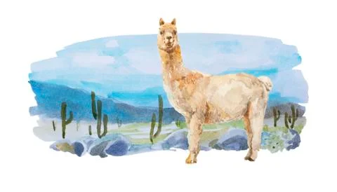 Funny Alpaca on watercolor backdrop with cactus desert, stones and mountains Stock Illustration