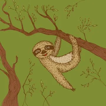 Funny and cute smiling Three-toed sloth wink on branch brown green beige colo Stock Illustration
