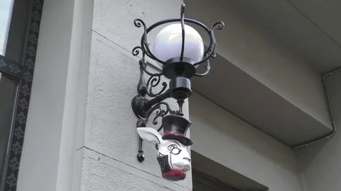 Funny and important rabbit in top hat and monocle Stock Footage 69849353