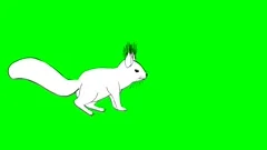 Funny animated squirrel running, walking... | Stock Video | Pond5
