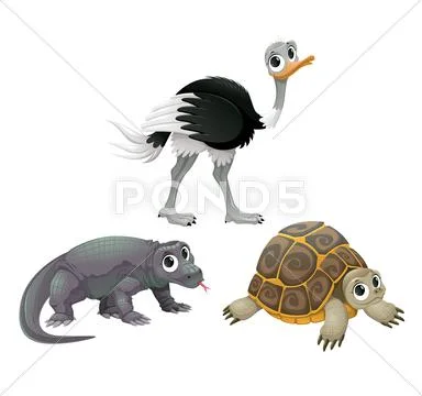 Funny Australian animals, ostrich, turtle and Komodo dragon Stock Illustration