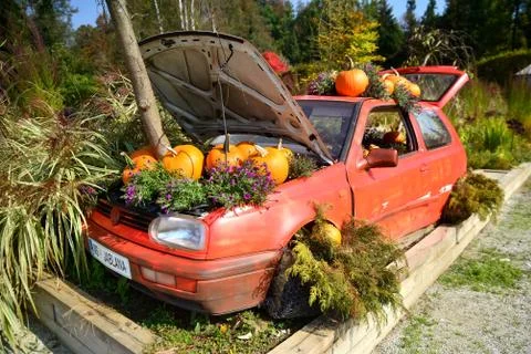 Funny autumn pumpkin exhibition Stock Photos