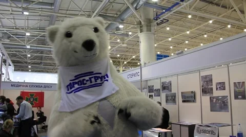 Funny bear Stock Footage 889254