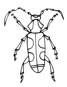 Funny beetle, hand drawn line art, doodle vector icon, coloring book page for Stock Illustration