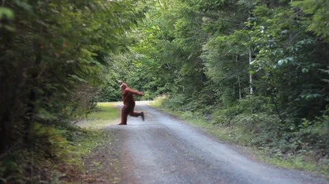 Funny Big Foot in the forest  Video stock 25593482