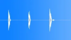 Funny bird sound 2 Sound Effect