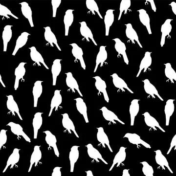 Funny Birds Stock Illustration