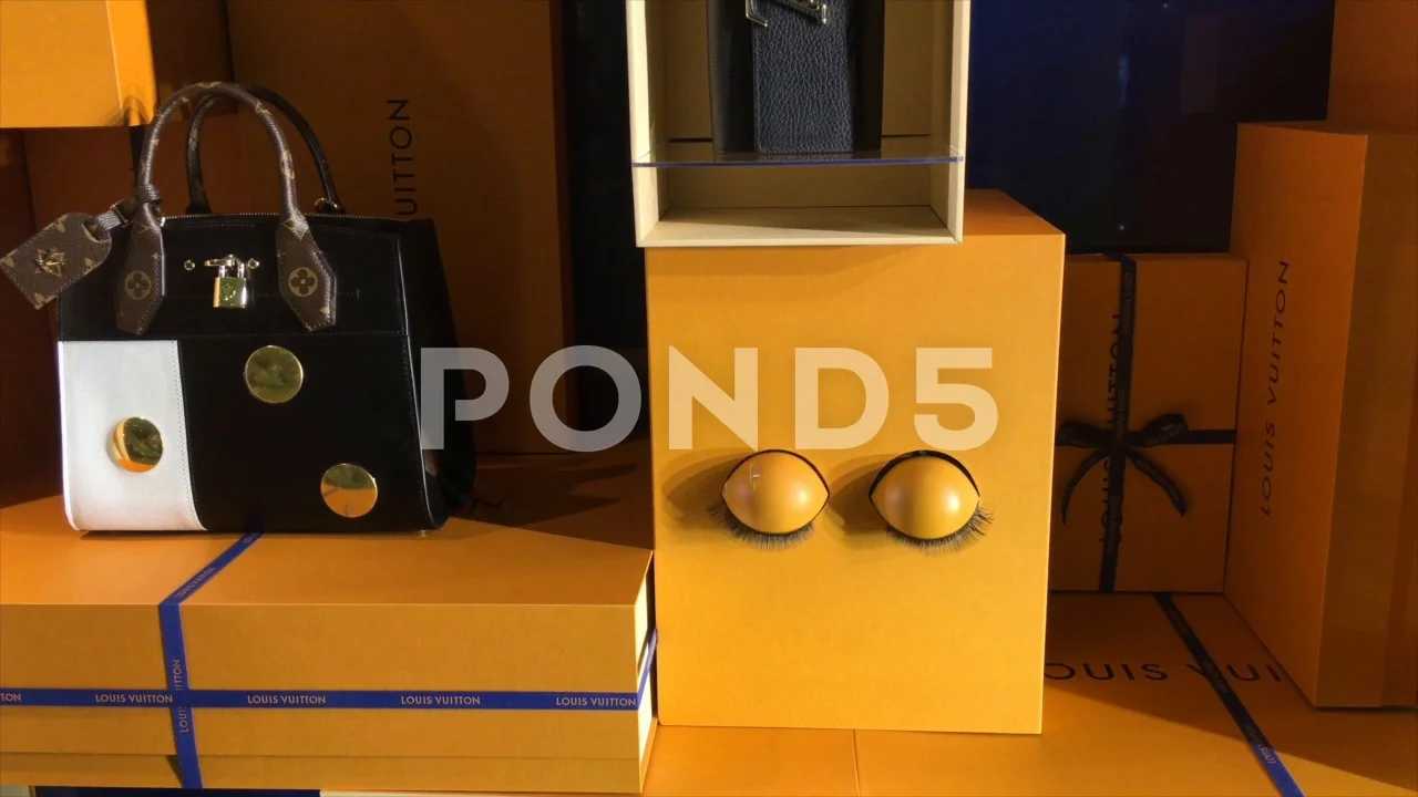 funny box with blinking eyes in Louis Vu, Stock Video
