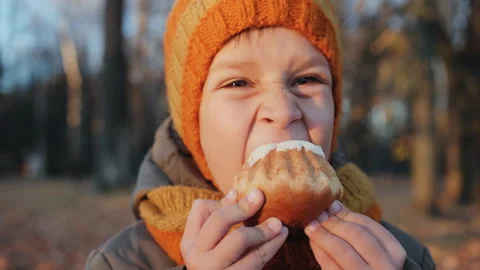 Funny boy eating a sweet pie in the autumn park. Stock Footage 166321631