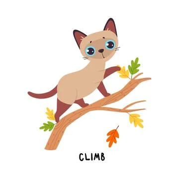 Funny Brown Cat Climb Tree as English Verb for Educational Activity Vector Illustrazione stock