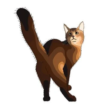 Funny brown cat looks back on a white background Stock Illustration