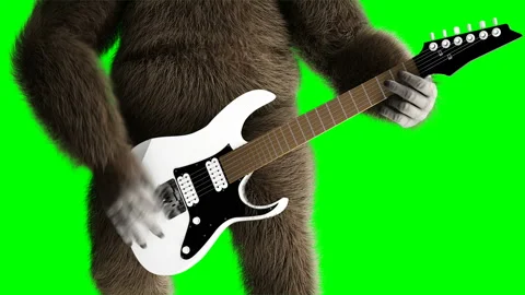 Funny brown gorilla play the electric guitar. Super realistic fur and hair Video stock 93543392