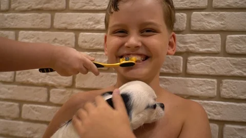 Funny brushing your teeth. A child with a dog suddenly begins to brush his teeth Stock Footage 115116708