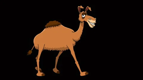 Funny Camel Cartoon Character Walking Stock Footage 325651177