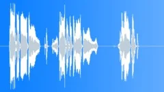 Funny cartoon cryingSound Effect