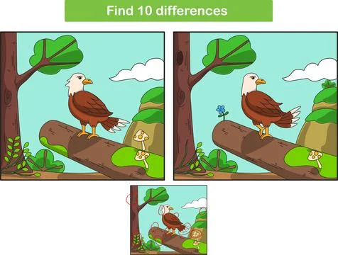 Funny cartoon eagle. Find 10 differences. Kids Education games Stock Illustration