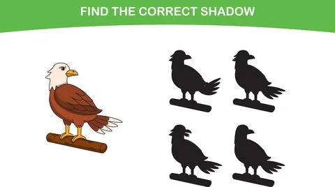 Funny cartoon eagle. find the correct shadow. Kids Education games Stock Illustration