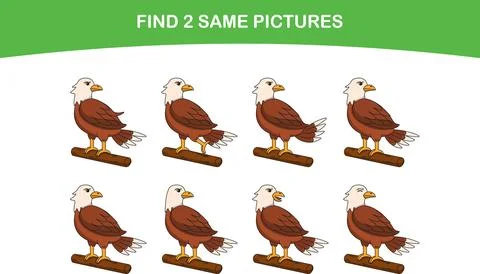 Funny cartoon eagle. Find two same pictures. Educational game for children Stock Illustration