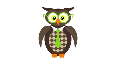 Funny cartoon owl getting dressed hd animation. Stock Footage 147555185