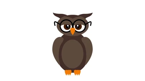 Funny cartoon owl getting dressed as a graduated university student Stock Footage 147557608