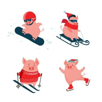 Funny cartoon pigs. Winter vector sport activities. Symbol of the New Year Stock Illustration