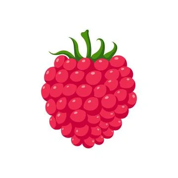 Funny cartoon raspberry. Cute berry. Vector food illustration isolated on w.. Illustrazione stock