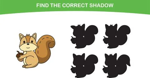 Funny cartoon squirrel. find the correct shadow. Kids Education games Stock Illustration