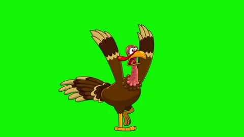 Funny Cartoon Turkey Character Running in Panic on Green Screen Stock Footage 312987553