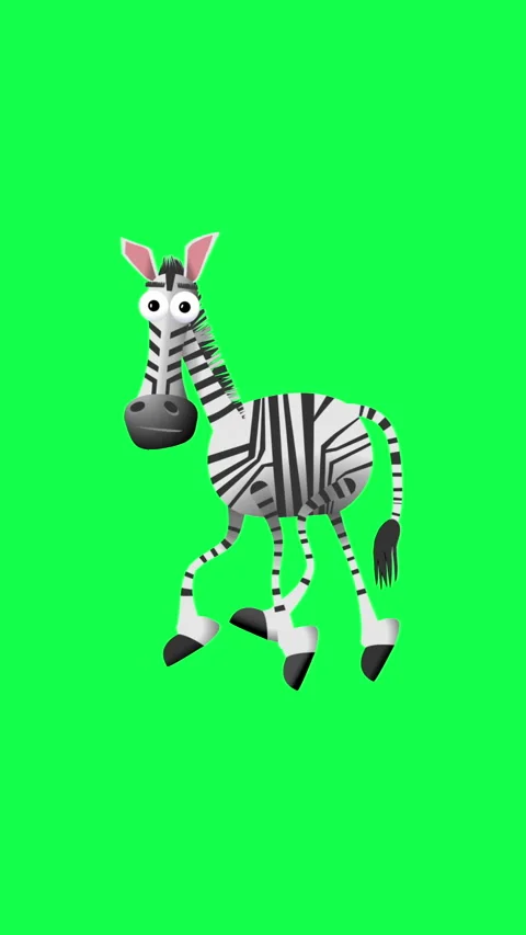 Funny Cartoon Zebra Walking Loop Animation on Green Screen Background Stock Footage 339531143
