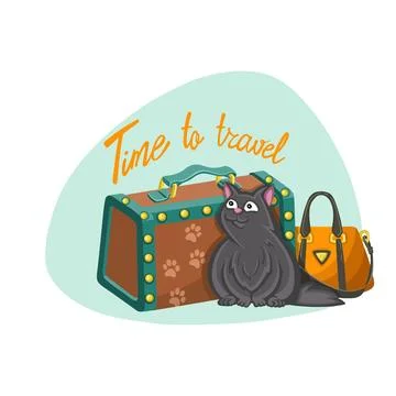 Funny cat and hand drawn text - time to travel in color cartoon style. Vector Stock Illustration