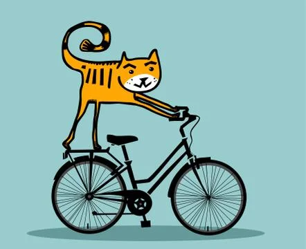 Funny cat on bicycle Stock Illustration