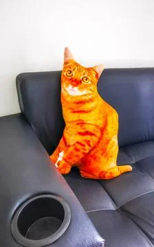 Funny Cat Pillow Resting On Sofa In Thai Hotel Thailand. Stock Photos