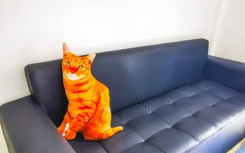 Funny Cat Pillow Resting On Sofa In Thai Hotel Thailand. Stock Photos