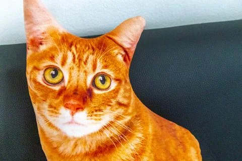 Funny Cat Pillow Resting On Sofa In Thai Hotel Thailand. Stock Photos