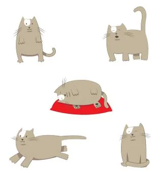 Funny cat poses Stock Illustration
