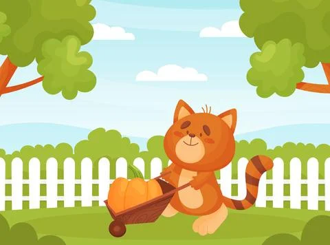 Funny Cat Push Wheelbarrow with Pumpkin Doing Gardening Vector Illustration Stock Illustration
