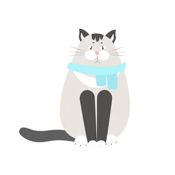 Funny cat in a scarf, pet vector illustration isolated. Siamese cat Stock Illustration